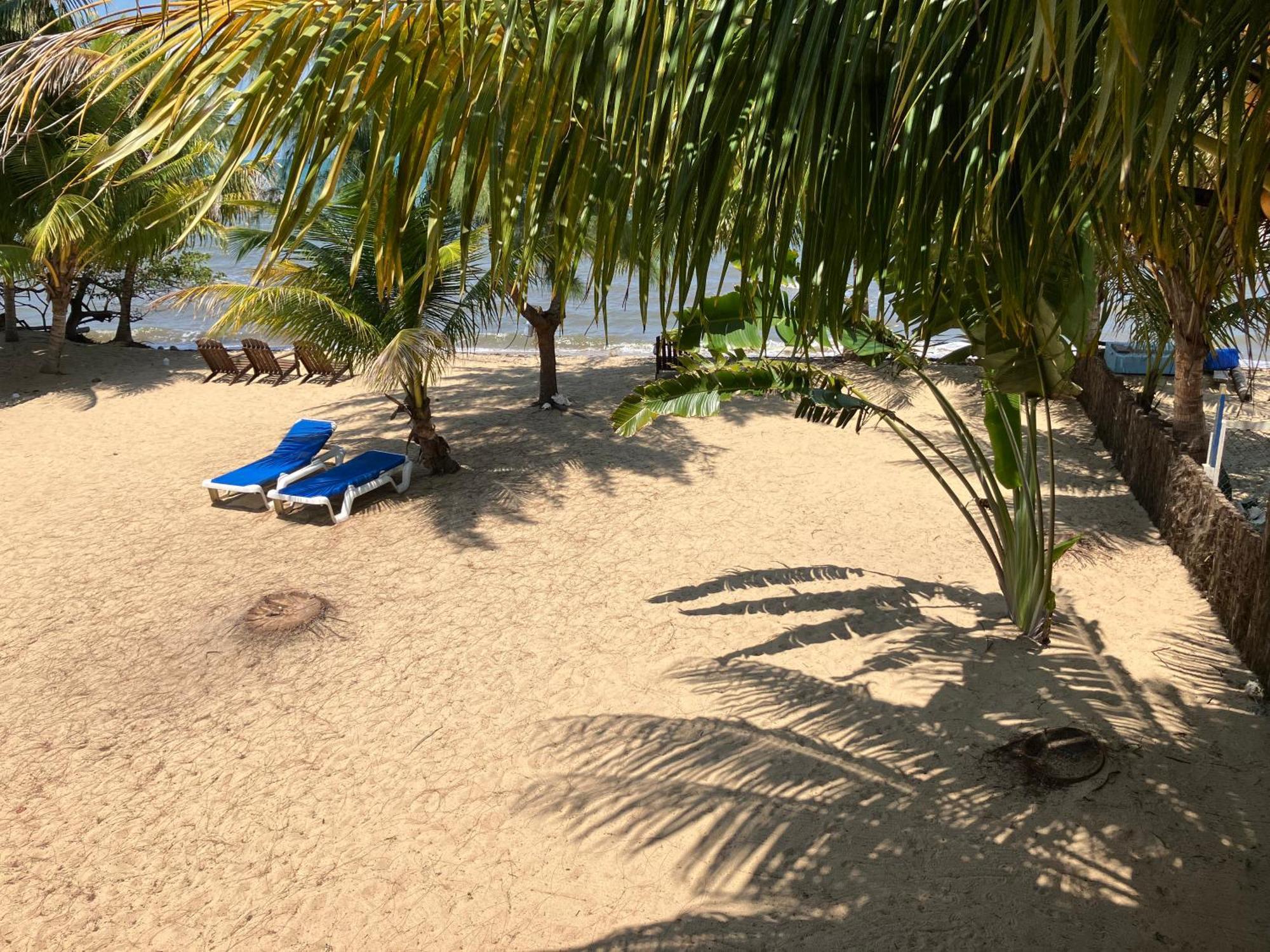Lost Reef Resort Riversdale Exterior photo